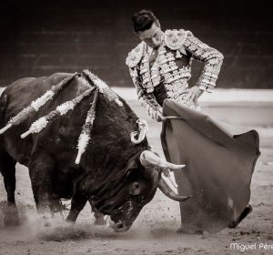 El torero Diego Urdiales en una faena El torero Diego Urdiales en una faena