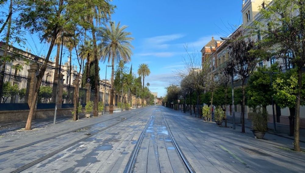 Ni peatones ni ciclistas en la calle San Fernando de Sevilla