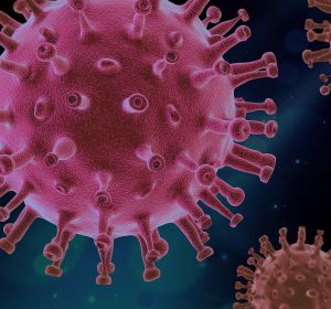 secuenciación coronavirus secuenciación coronavirus