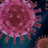 coronavirus coronavirus