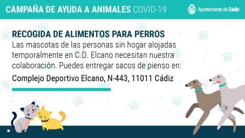 Campa&ntilde;a Perros C&aacute;diz