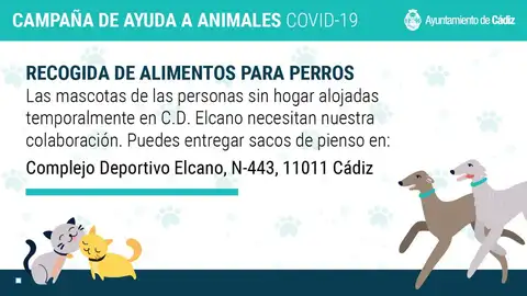 Campaña Perros Cádiz Campaña Perros Cádiz