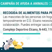 Campaña Perros Cádiz