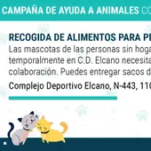 Campaña Perros Cádiz Campaña Perros Cádiz