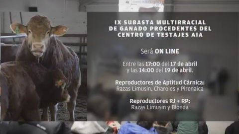 Subasta on line 