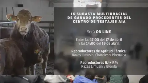 Subasta on line Subasta on line
