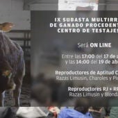 Subasta on line