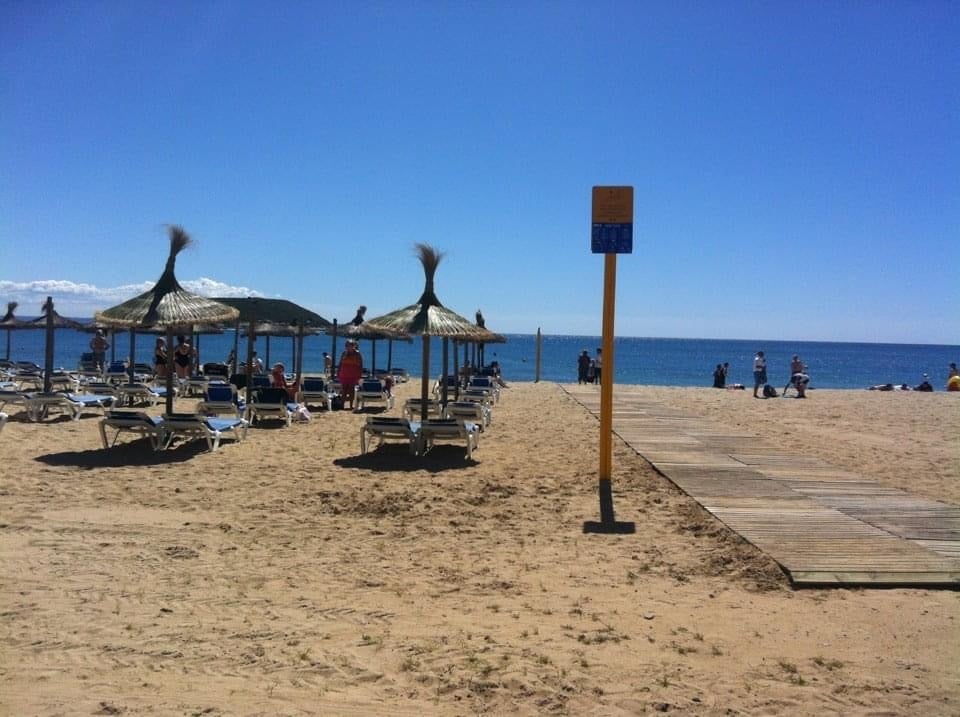 Los hoteleros de Palmanova-Magaluf anuncian subida de precios y normalidad este verano Los hoteleros de Palmanova-Magaluf anuncian subida de precios y normalidad este verano