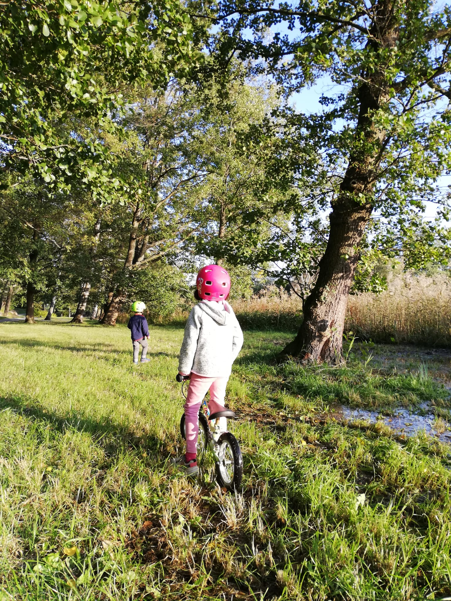 "Choca la situación en España, nuestros niños van al colegio" "Choca la situación en España, nuestros niños van al colegio"