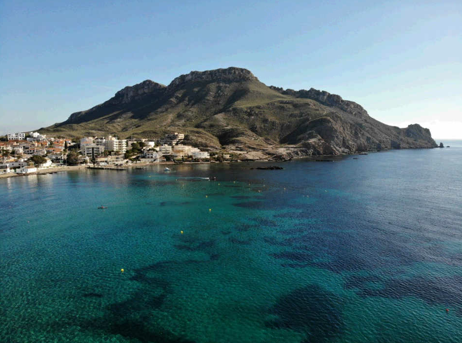 ANSE y WWWF denuncian que la UE financia documentos que no ven la luz en la región de Murcia ANSE y WWWF denuncian que la UE financia documentos que no ven la luz en la región de Murcia