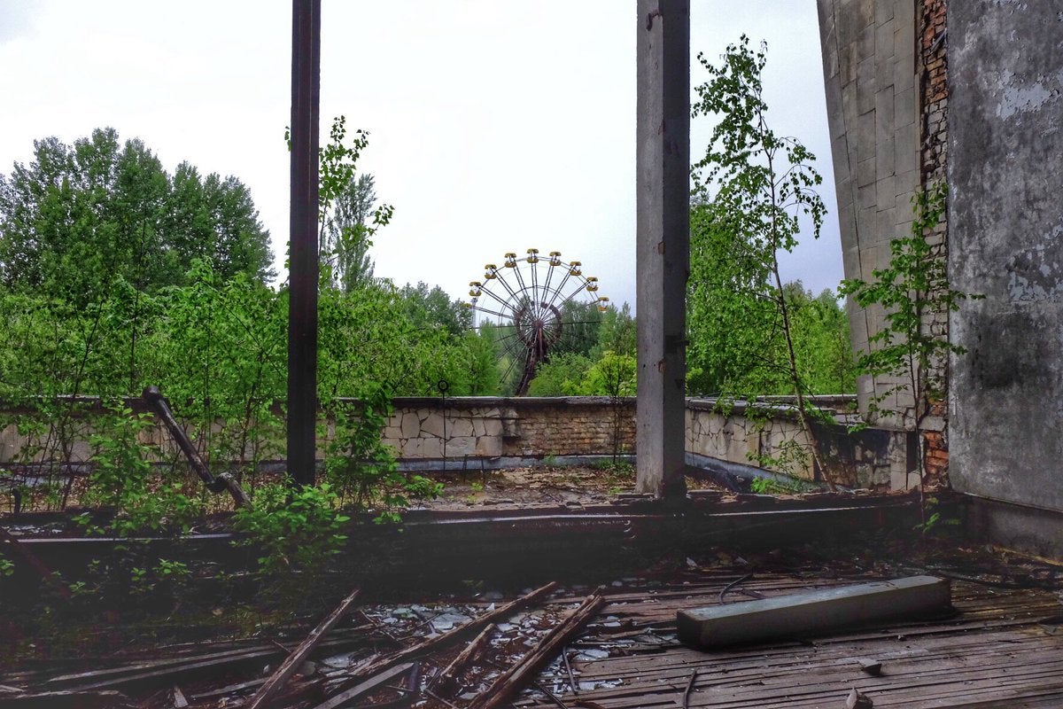 "La naturaleza ha engullido y transformado las ciudades de la zona de exclusión de Chernobyl" "La naturaleza ha engullido y transformado las ciudades de la zona de exclusión de Chernobyl"