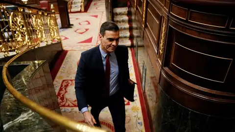 Pedro Sánchez en el Congreso de los Diputados Pedro Sánchez en el Congreso de los Diputados