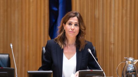 Rosa Romero es la presidenta de la Comisi&oacute;n de Sanidad del Congreso