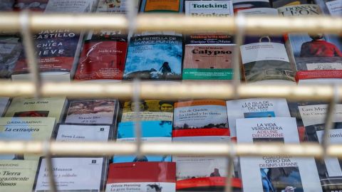 Actividades para celebrar el D&iacute;a del Libro 2020 en cuarentena