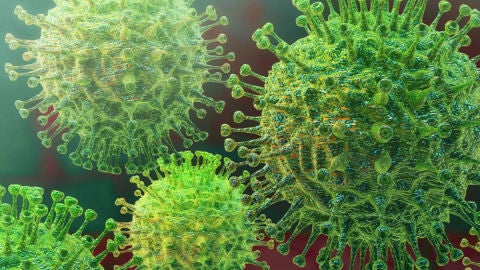 coronavirus