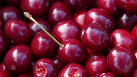 Los agricultores ya est&aacute;n recogiendo las primeras cerezas