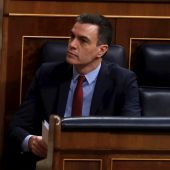 Sesión de control al Gobierno, en directo: Pedro Sánchez explica en el Congreso el plan de desescalada