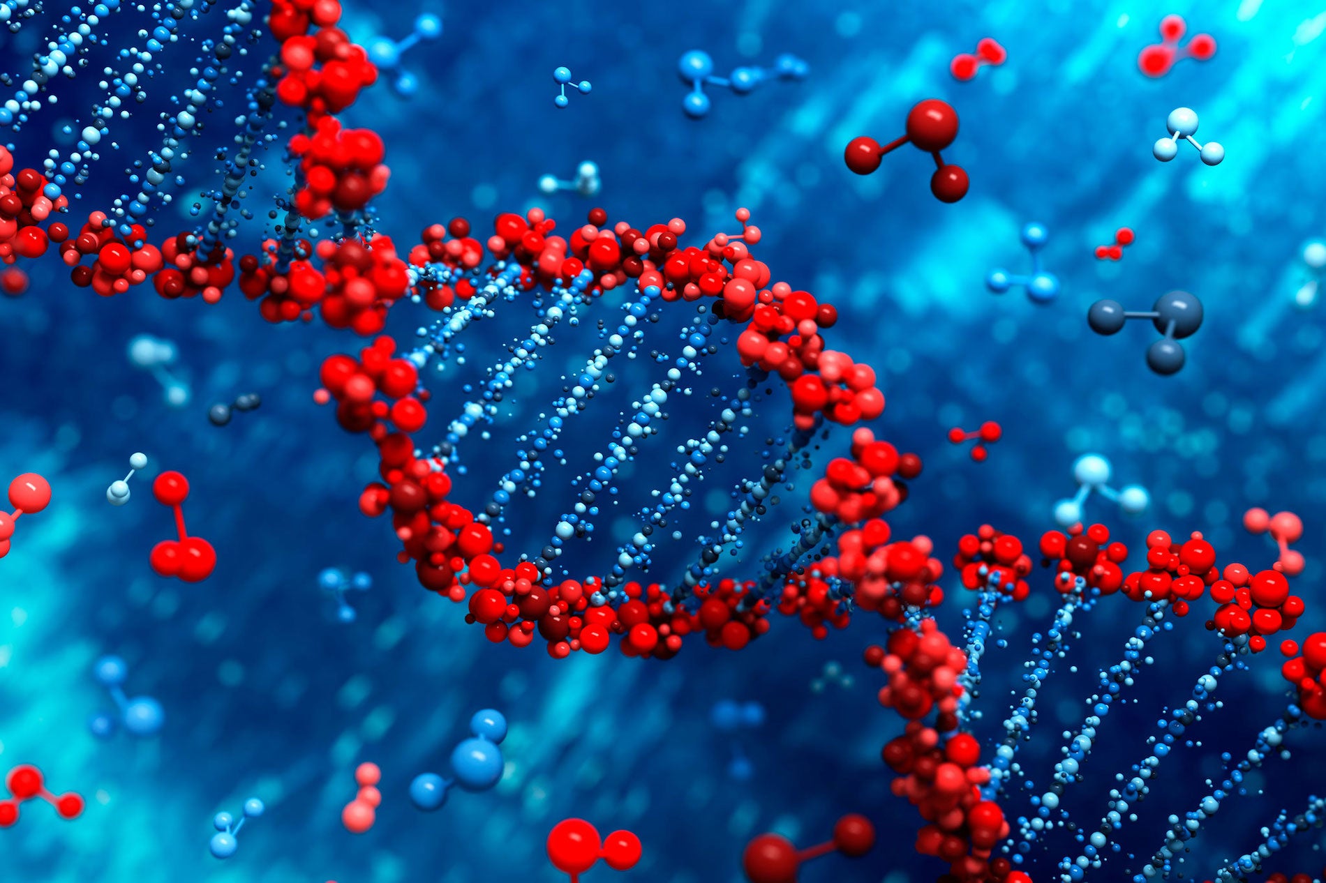 El ADN de cada persona afecta en la virulencia del coronavirus El ADN de cada persona afecta en la virulencia del coronavirus