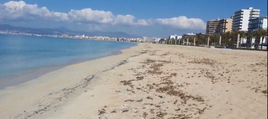 La playa de Palma vacía en pleno mes de abril, debido al Estado de alarma que ha provocado la crisis sanitaria. La playa de Palma vacía en pleno mes de abril, debido al Estado de alarma que ha provocado la crisis sanitaria.