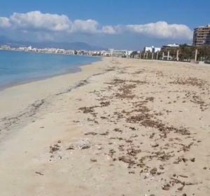 La playa de Palma vacía en pleno mes de abril, debido al Estado de alarma que ha provocado la crisis sanitaria. La playa de Palma vacía en pleno mes de abril, debido al Estado de alarma que ha provocado la crisis sanitaria.