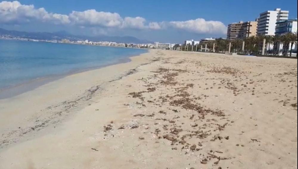 La playa de Palma vacía en pleno mes de abril, debido al Estado de alarma que ha provocado la crisis sanitaria. 