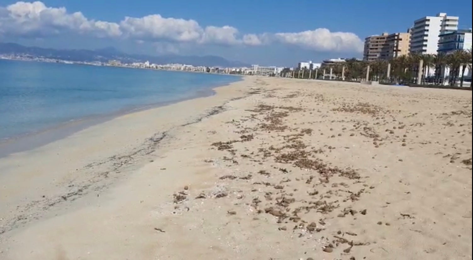 FEHM y ACH reciben "satisfactoriamente" la autorización de la prueba piloto para la llegada de turista FEHM y ACH reciben "satisfactoriamente" la autorización de la prueba piloto para la llegada de turista