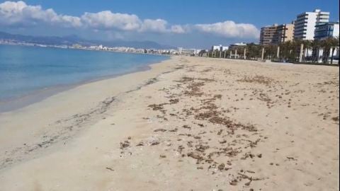 La playa de Palma vac&iacute;a en pleno mes de abril, debido al Estado de alarma que ha provocado la crisis sanitaria. 