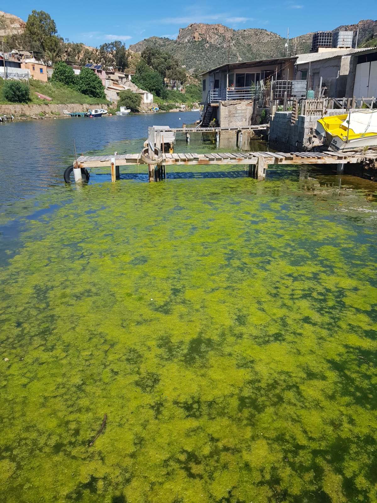 Los vecinos del poblado de la Algameca Chica denuncian la acumulación de vertidos y fangos que las DANAS de los últimos meses han provocado en la desembocadura de la rambla Los vecinos del poblado de la Algameca Chica denuncian la acumulación de vertidos y fangos que las DANAS de los últimos meses han provocado en la desembocadura de la rambla