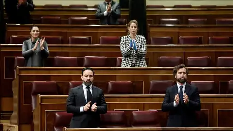 Diputados de Vox durante el aplauso sanitario en el pleno del Congreso Diputados de Vox durante el aplauso sanitario en el pleno del Congreso