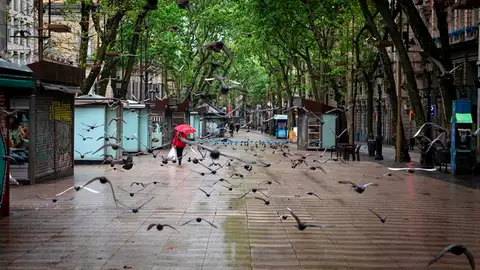 Cataluña fase 1: estos son los territorios que cambian de fase Cataluña fase 1: estos son los territorios que cambian de fase