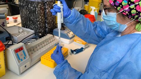 Una sanitaria de Baleares analizando pruebas. 