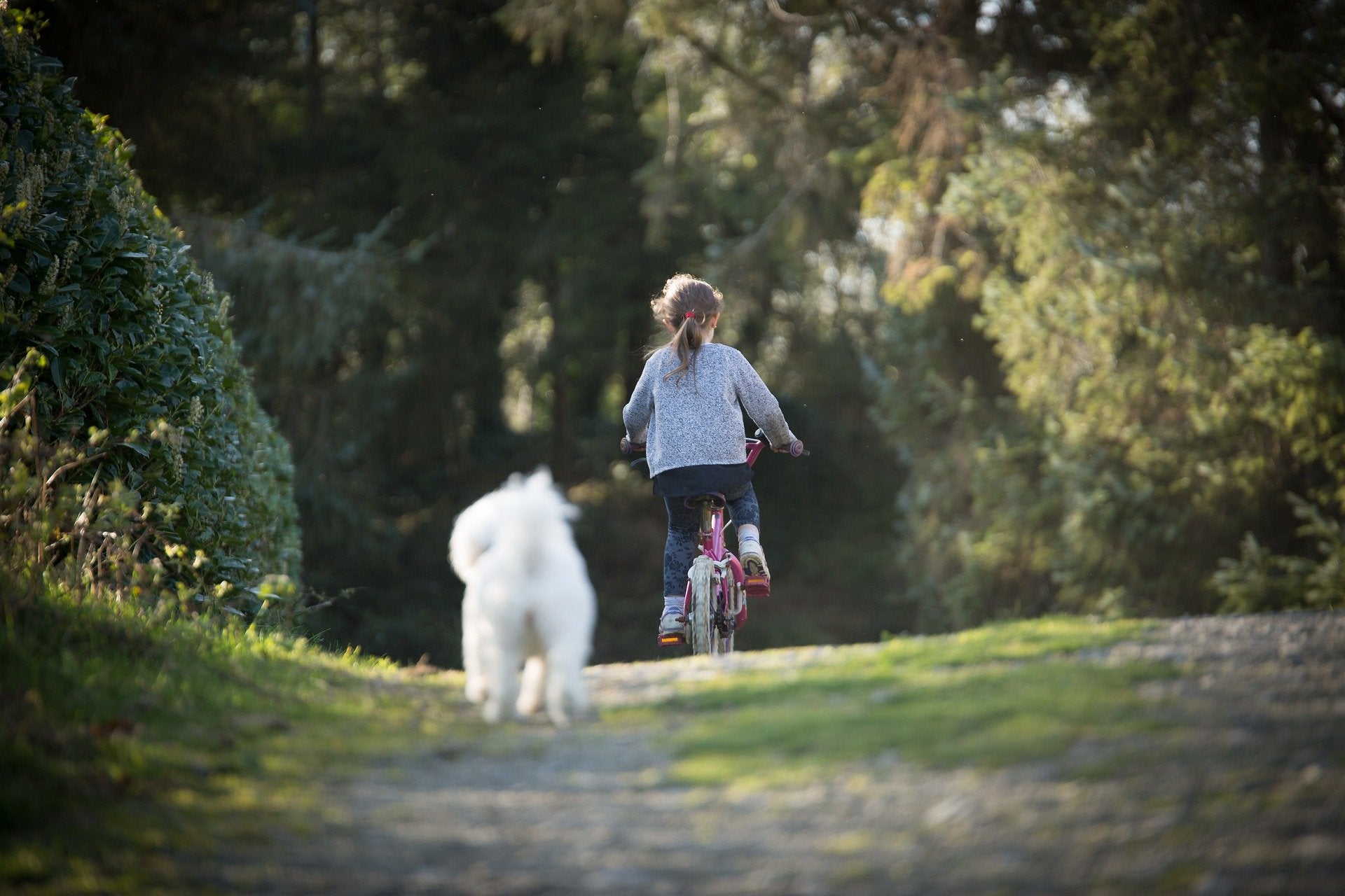 El BOE publica la orden sobre los paseos de los niños a partir de este domingo El BOE publica la orden sobre los paseos de los niños a partir de este domingo