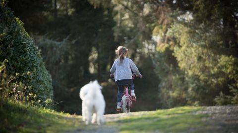 Salida ni&ntilde;os