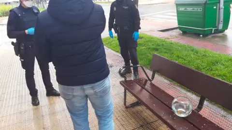 Sancionan a un hombre por salir a "pasear" a sus dos peces Sancionan a un hombre por salir a "pasear" a sus dos peces