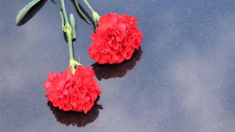 Portugal conmemora el 74 aniversario de la Revoluci&oacute;n de los Claveles marcado por el coronavirus