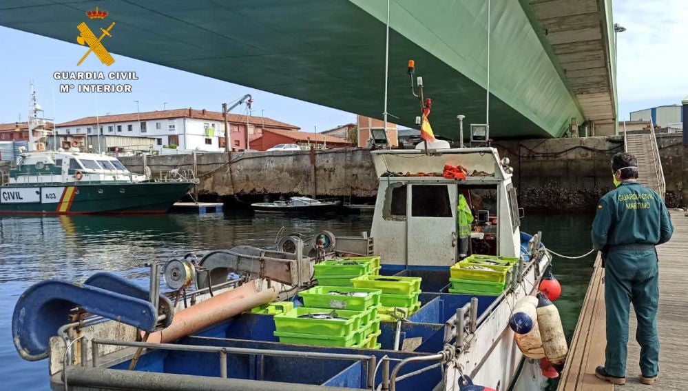 La Guardia Civil interviene más de 500 kilos de pescado