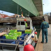 La Guardia Civil interviene más de 500 kilos de pescado