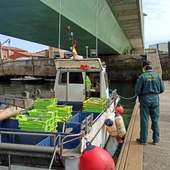 La Guardia Civil interviene más de 500 kilos de pescado La Guardia Civil interviene más de 500 kilos de pescado
