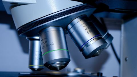 Este estudio permitir&aacute; conocer la incidencia del coronavirus