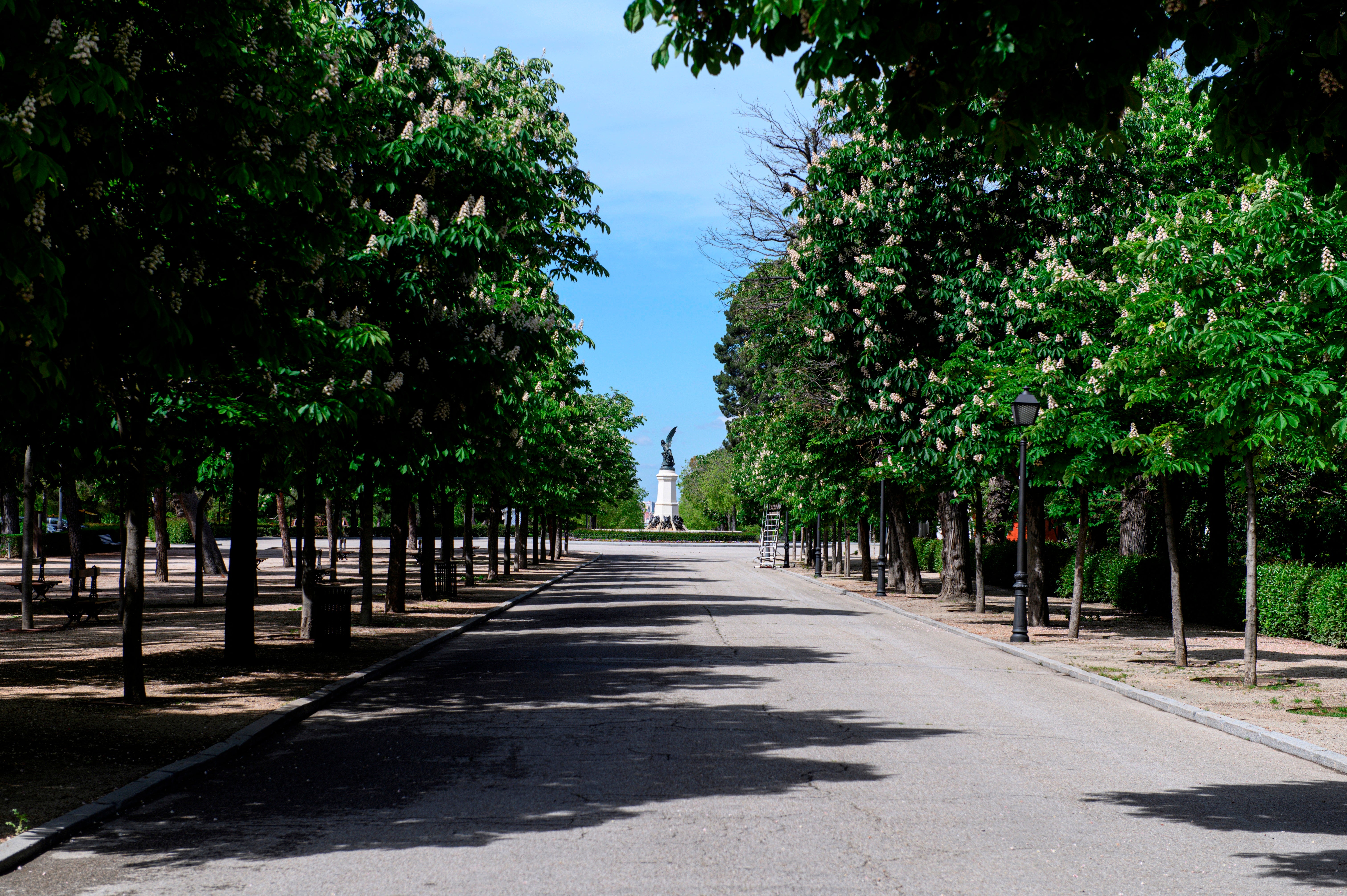 El 'Paisaje de la Luz' del Paseo del Prado y el Retiro, declarado Patrimonio Mundial de la Unesco El 'Paisaje de la Luz' del Paseo del Prado y el Retiro, declarado Patrimonio Mundial de la Unesco