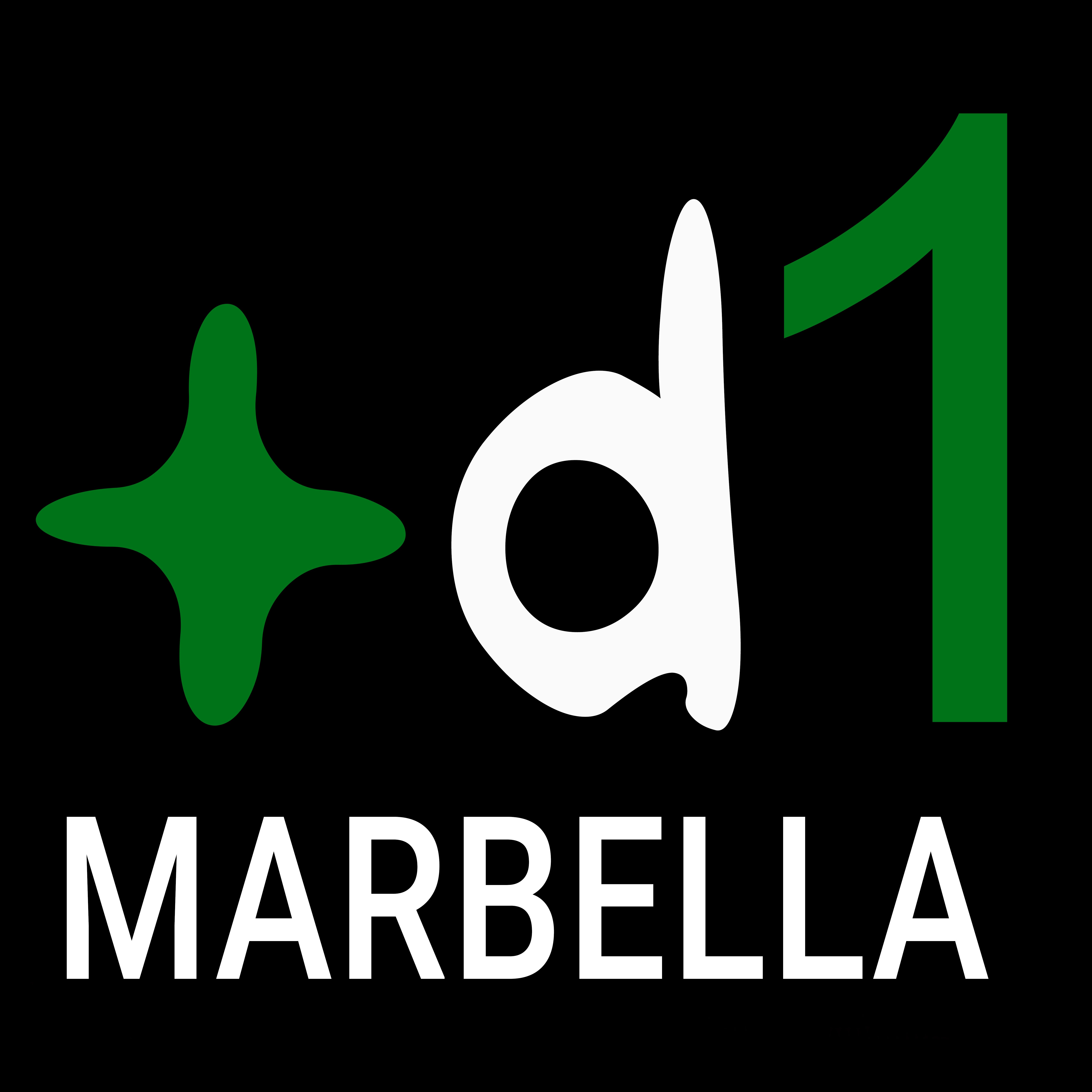 2020. El año del COVID-19. Así transcurrió en Marbella y la comarca 2020. El año del COVID-19. Así transcurrió en Marbella y la comarca