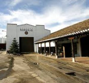 Bodegas Naranjo de Carrión de Calatrava Bodegas Naranjo de Carrión de Calatrava