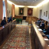 pleno talavera