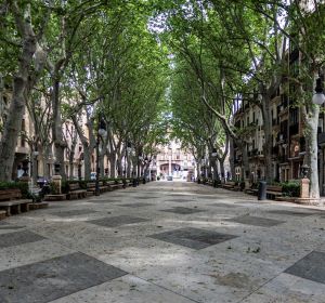El céntrico Paseo del Borne, en Palma de Mallorca El céntrico Paseo del Borne, en Palma de Mallorca