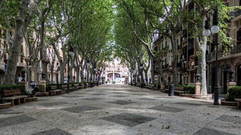 El c&eacute;ntrico Paseo del Borne, en Palma de Mallorca