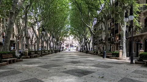 El céntrico Paseo del Borne, en Palma de Mallorca El céntrico Paseo del Borne, en Palma de Mallorca