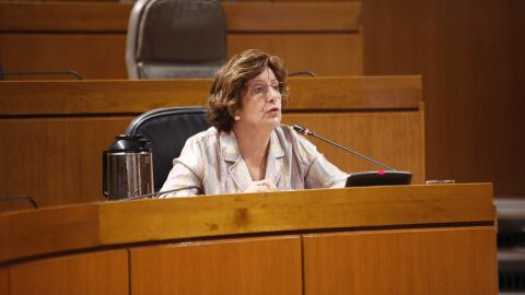 Mar&iacute;a Victoria Broto, consejera de Ciudadan&iacute;a y Derechos Sociales