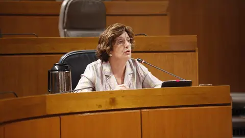 María Victoria Broto, consejera de Ciudadanía y Derechos Sociales María Victoria Broto, consejera de Ciudadanía y Derechos Sociales