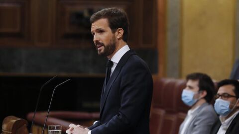 El l&iacute;der del PP, Pablo Casado, en el Congreso