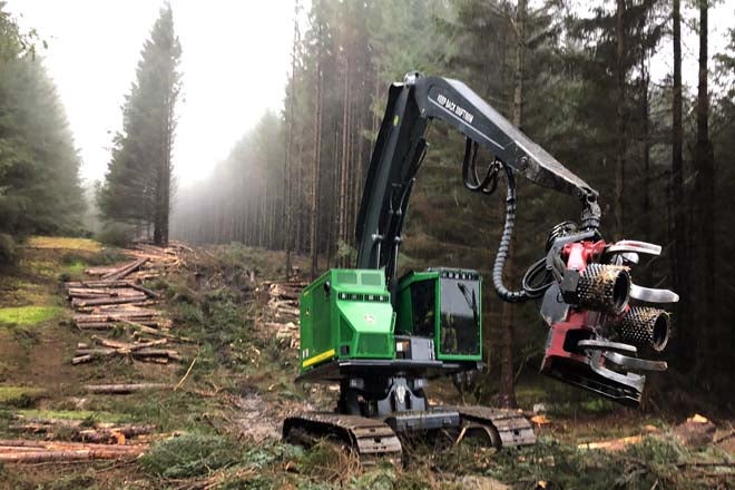 A Xunta axilizará arredor de 100.000 aproveitamentos forestais A Xunta axilizará arredor de 100.000 aproveitamentos forestais
